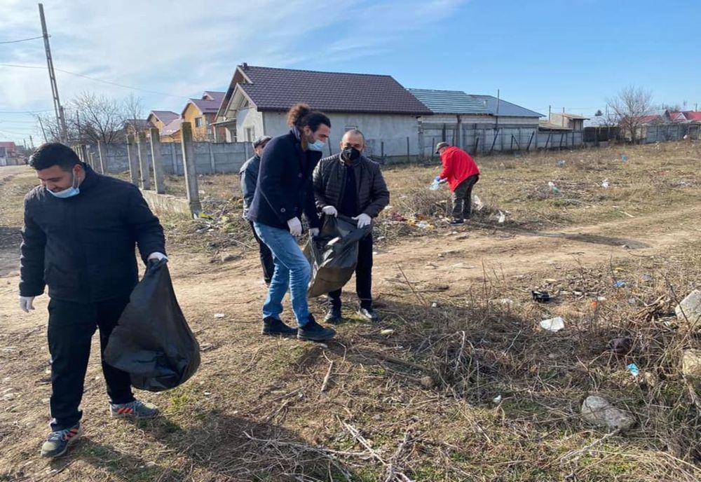 Perdea forestieră pe 10 hectare, la marginea unui oraş din Olt