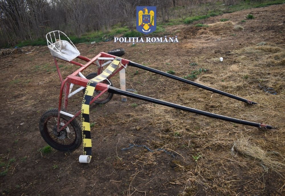 Curse ilegale de cai, în judeţul Olt. Poliţiştii au făcut percheziţii şi au găsit importante sume de bani