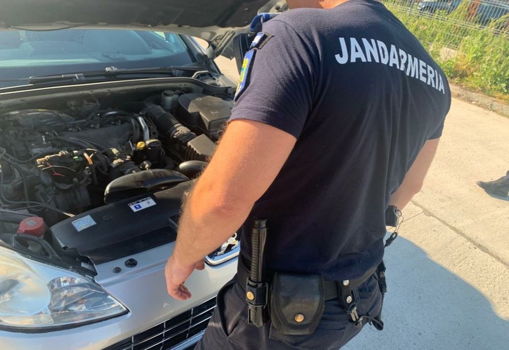 Olt: Mai multe cazuri de şerpi, în locuinţele unor persoane 