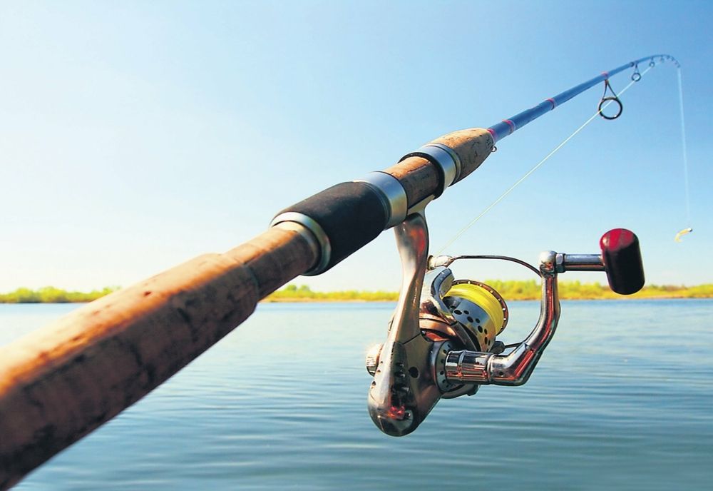 5 iunie - Ziua internaţională pentru lupta împotriva pescuitului ilegal, nedeclarat şi nereglementat