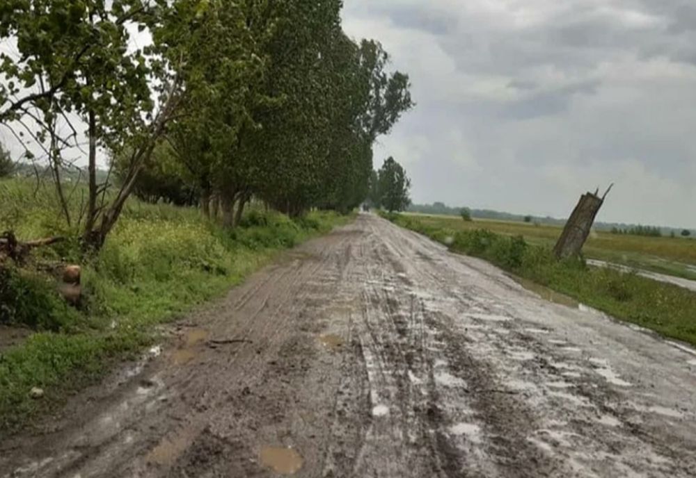 Caravana ANTIMAFIA la Tulcea: Școli și dispensare stau să cadă, drum județean dezastruos, oameni izolați - Răspuns halucinant al autorităților