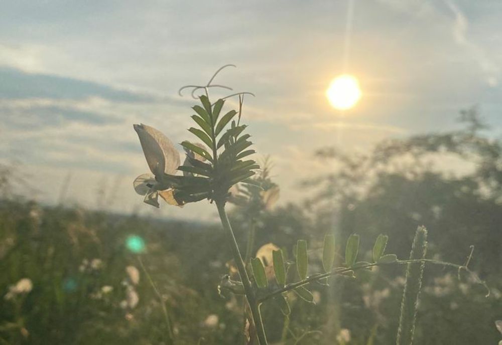 Astăzi temperaturile vor fi în creştere 