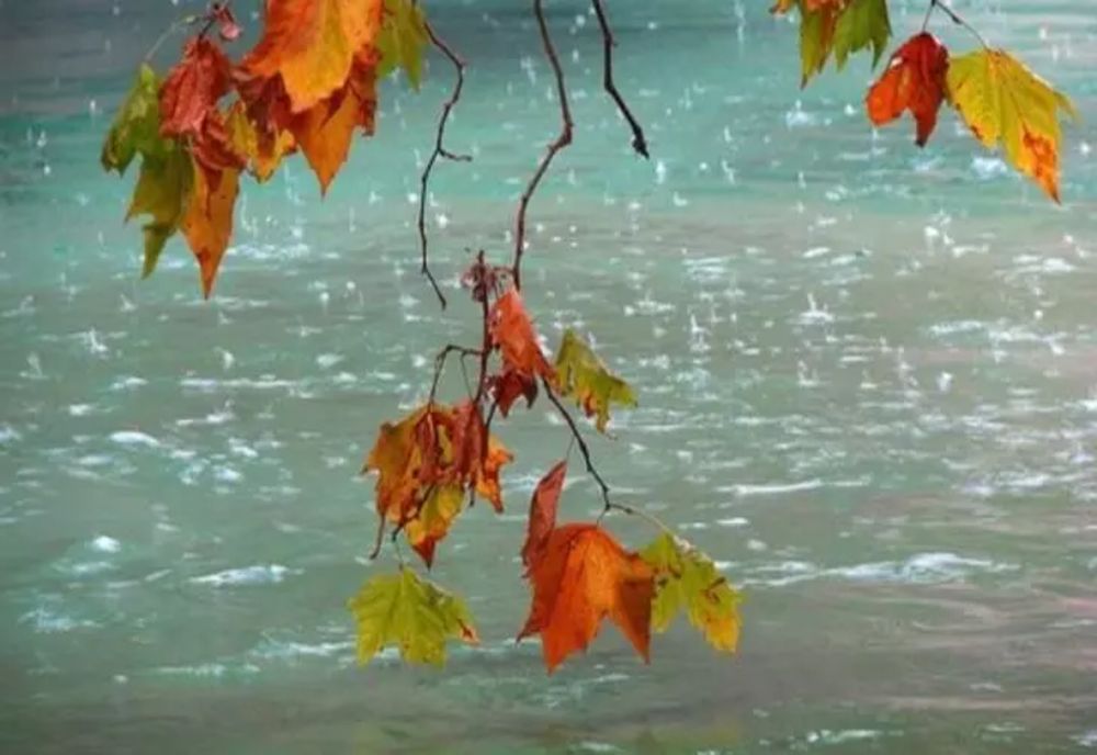 VREMEA 17 SEPTEMBRIE. FRIG ȘI PLOI ABUNDENTE 