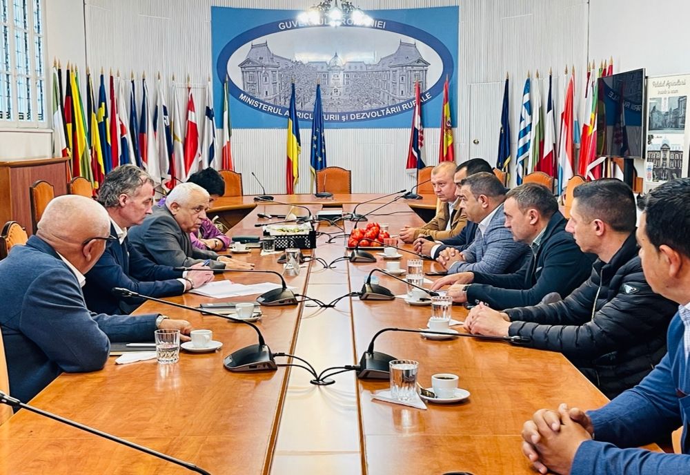 Producătorii agricoli din Olt, Dolj, Teleorman, Vâlcea şi Galaţi se pregătesc să furnizeze legume și fructe pentru supermarketuri din România