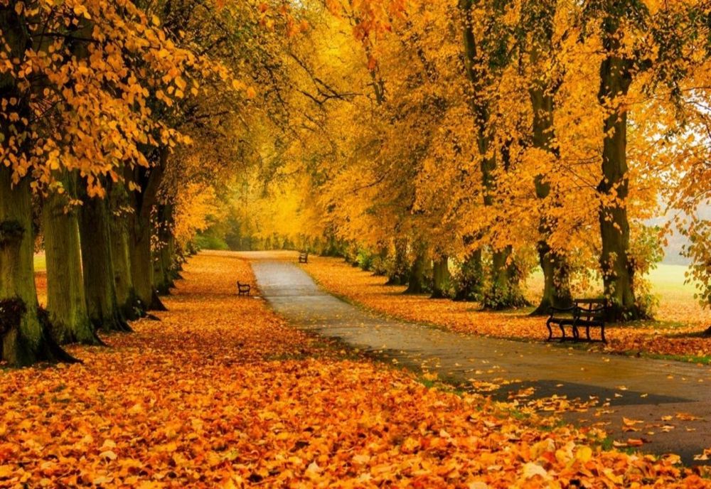 Prognoza meteo 18 noiembrie. Vreme mohorâtă și vânt puternic: temperaturile scad semnificativ. Unde va fi cel mai frig astăzi 