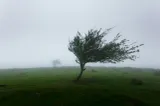Vreme rea în Oltenia. Ploi și rafale de vânt de peste 70 km/h la munte