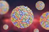 INSP: 3 cazuri de infecție cu virusul West Nile, confirmate în județul Olt în 2026