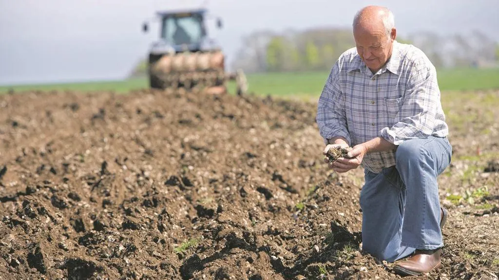 Farmer_planning