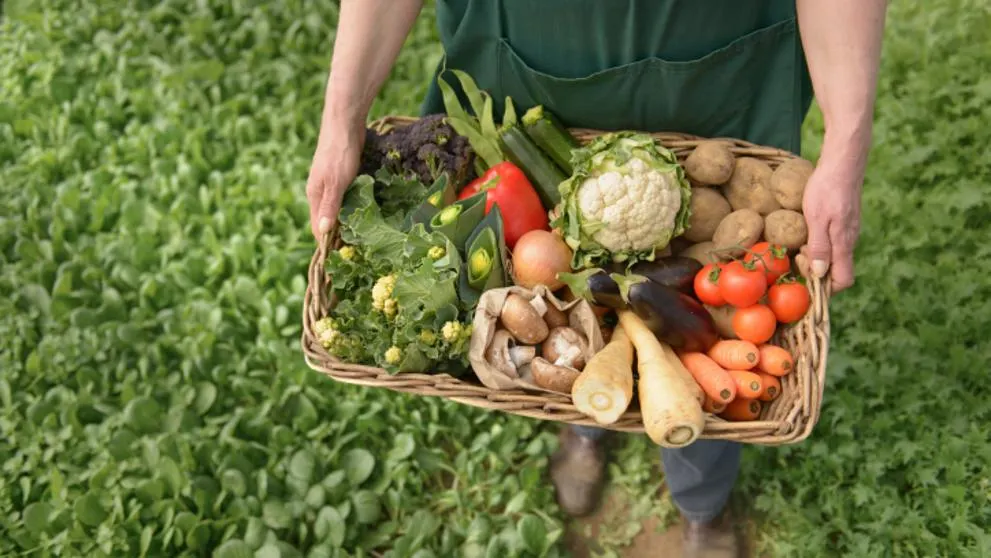 agricultura-ecologica