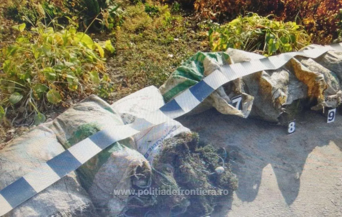 pol frontiera olt