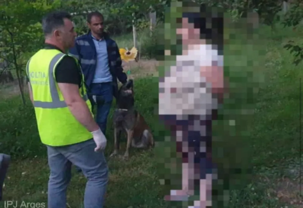 Tod, câinele polițist