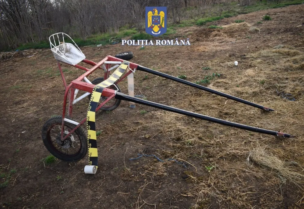 Curse ilegale de cai, în judeţul Olt. Poliţiştii au făcut percheziţii şi au găsit importante sume de bani