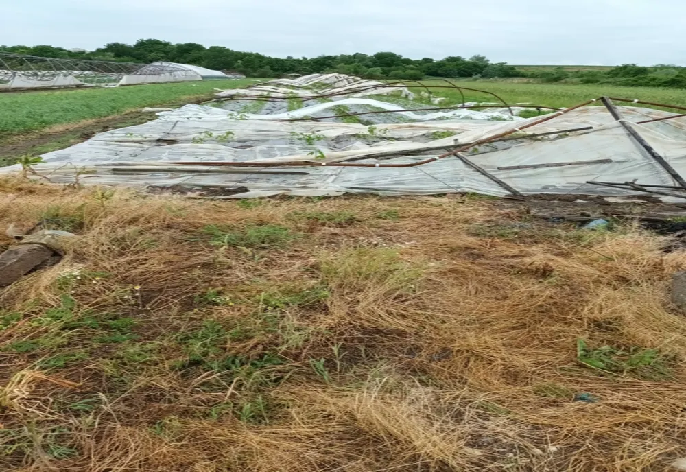 Olt:  Serele agricultorilor din comuna Grădinari, distruse de vânt şi ploaie