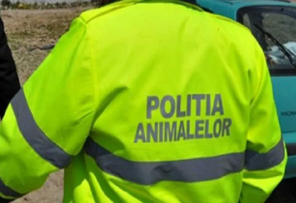 Caz șocant în Olt: Animale ucise și abandonate pe extravilanul comunei Radomirești