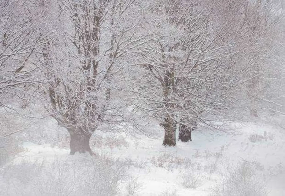 PROGNOZA METEOROLOGICĂ: IARNĂ FRIGUROASĂ ÎN EUROPA