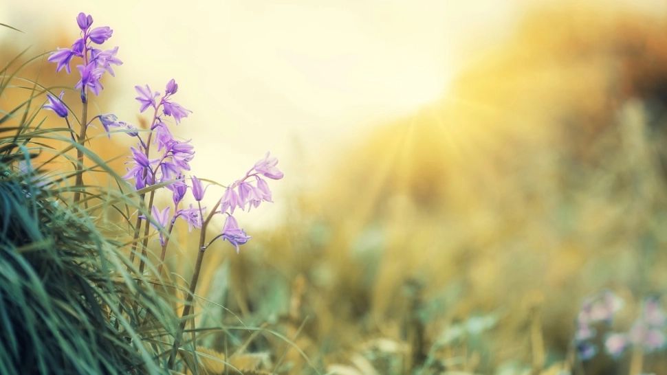 Vreme de primăvară