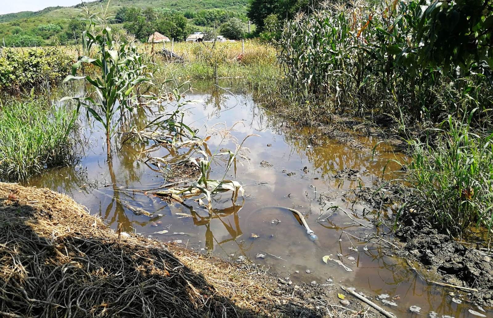 WhatsApp Image 2018-08-07 at 14.48.33