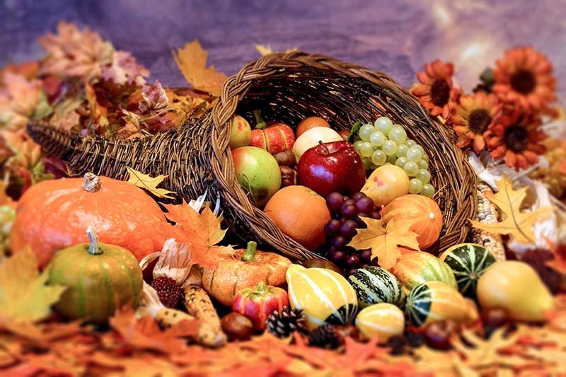 ziua-recoltei-in-satul-traian