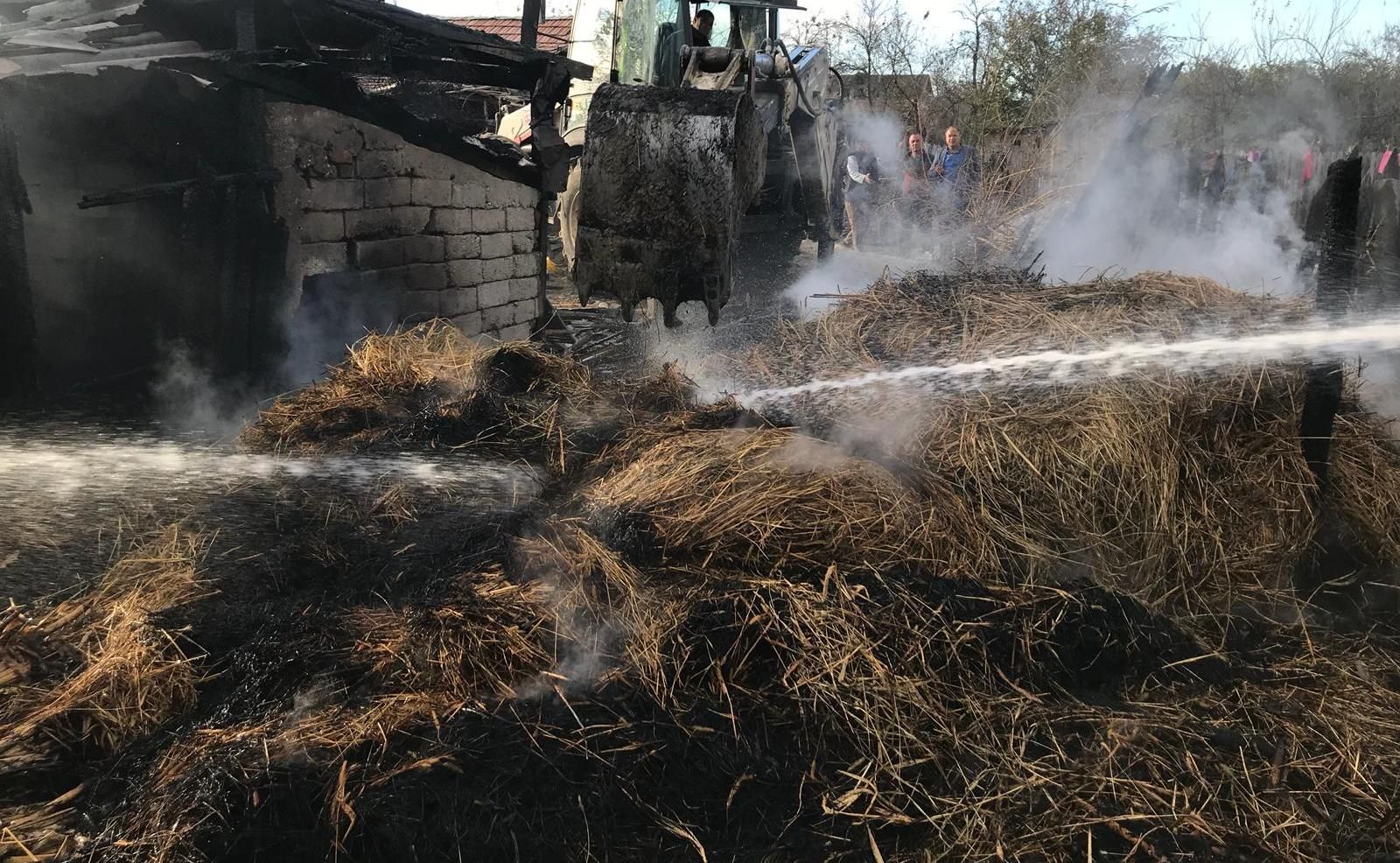 WhatsApp Image 2018-10-24 at 19.40.29