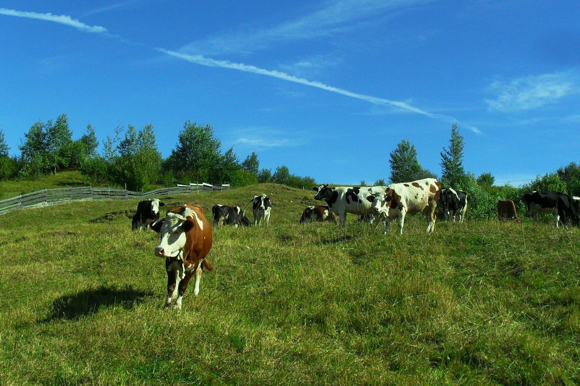 d436fccad7179291a5e3782ea6f93d75