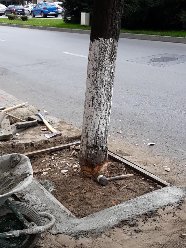 45636091_347808349304831_3028752237821165568_n