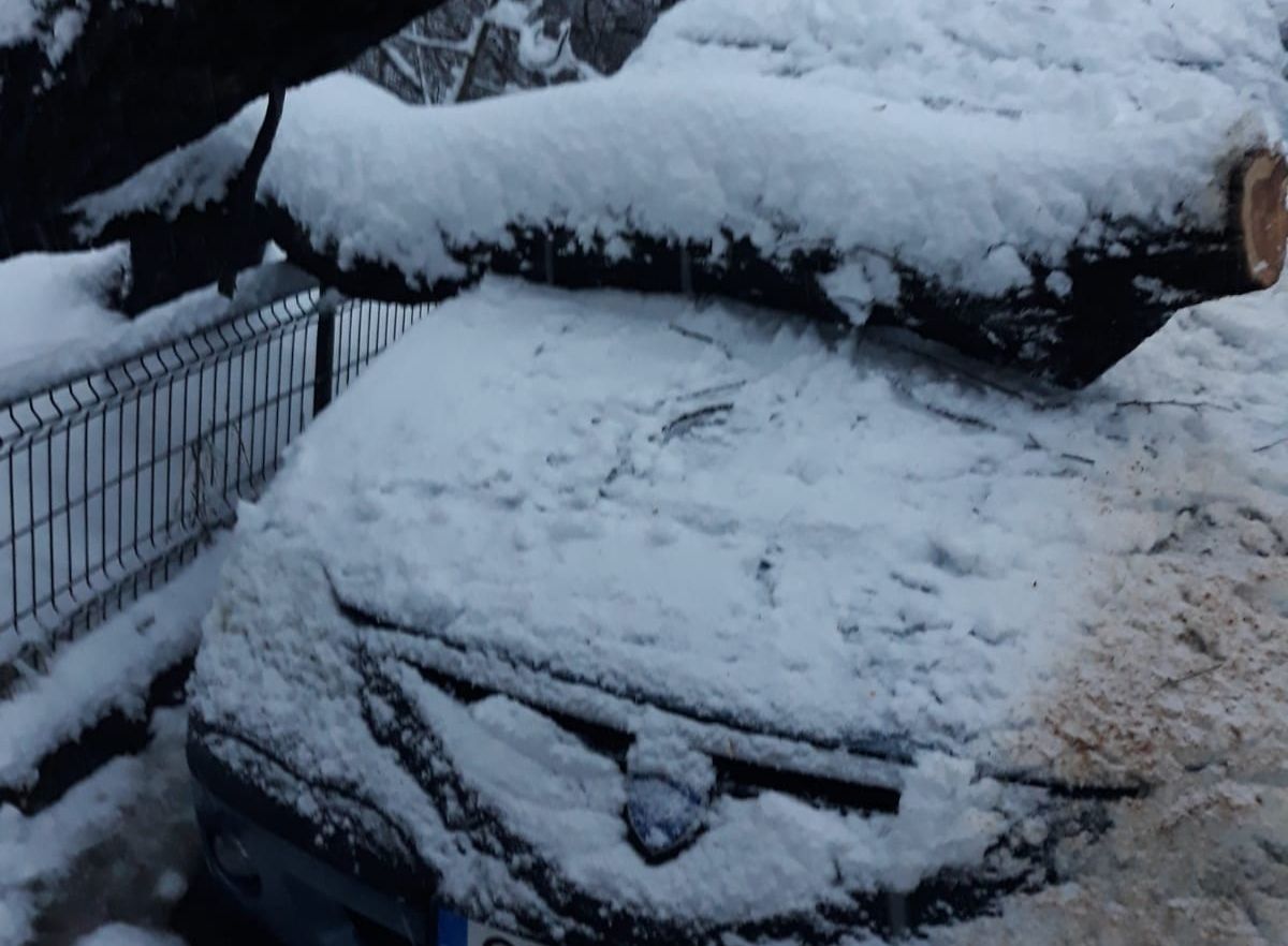 WhatsApp Image 2018-12-17 at 08.51.44