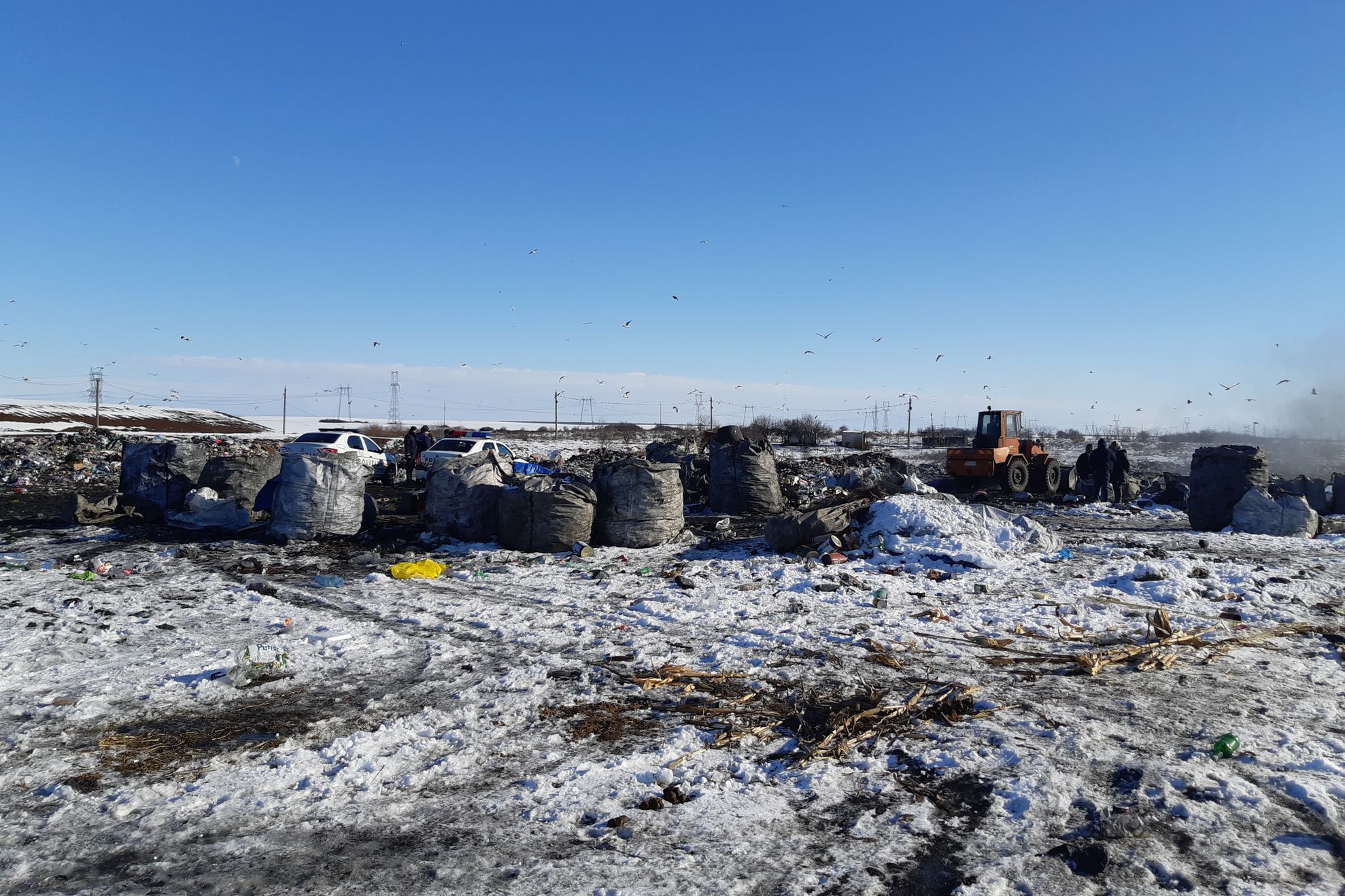 50343482_222744395273640_8243392604511666176_n