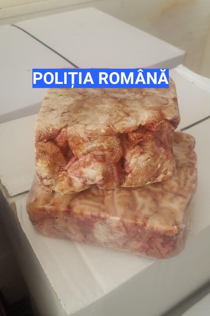 Image.e81d7caa-89cd-48aa-beea-96dbfdab0a4f