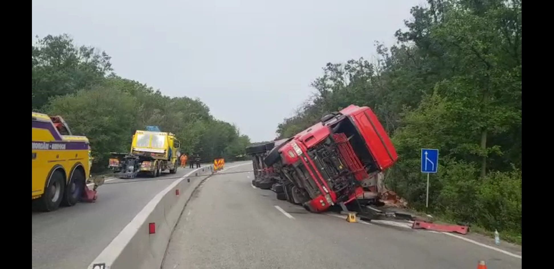 60784941_385980058673532_868303281850417152_n