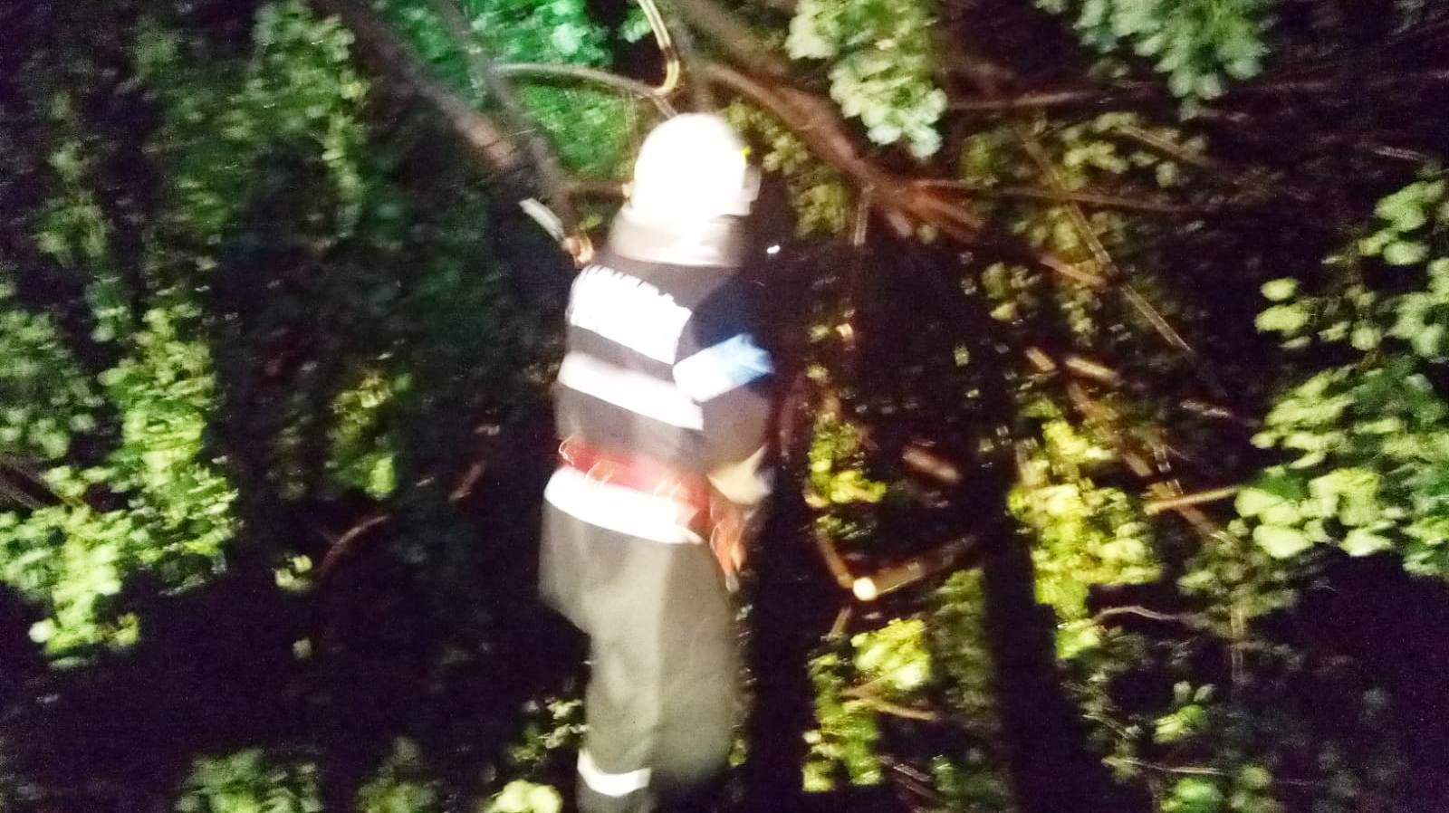 WhatsApp Image 2019-05-30 at 06.54.12