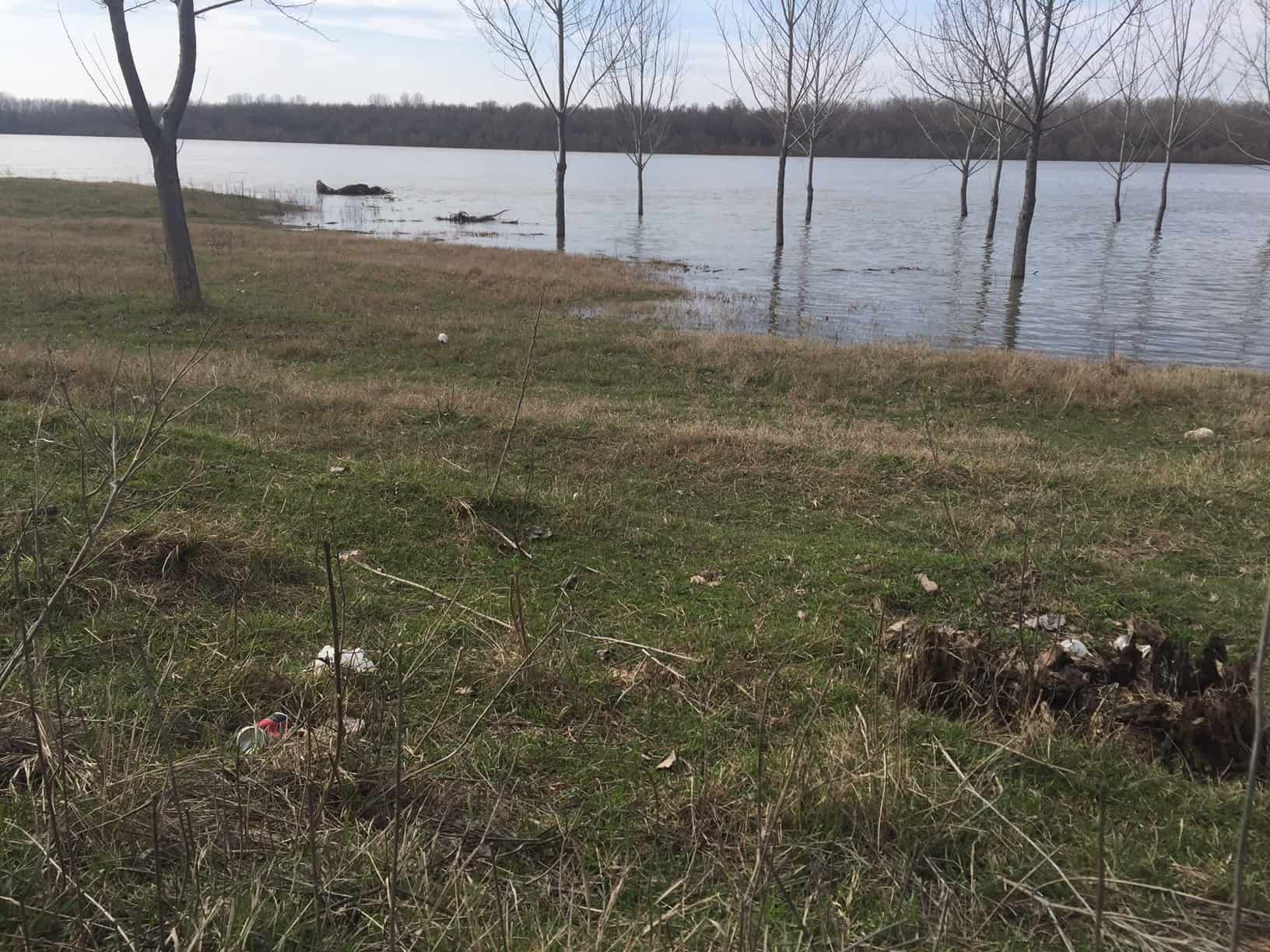 inundatii-dunare-rasova_5564