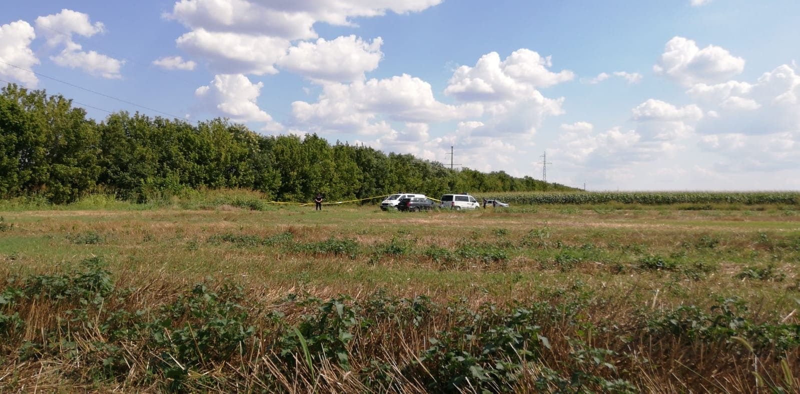 67949340_391446114843550_8829719613953540096_n