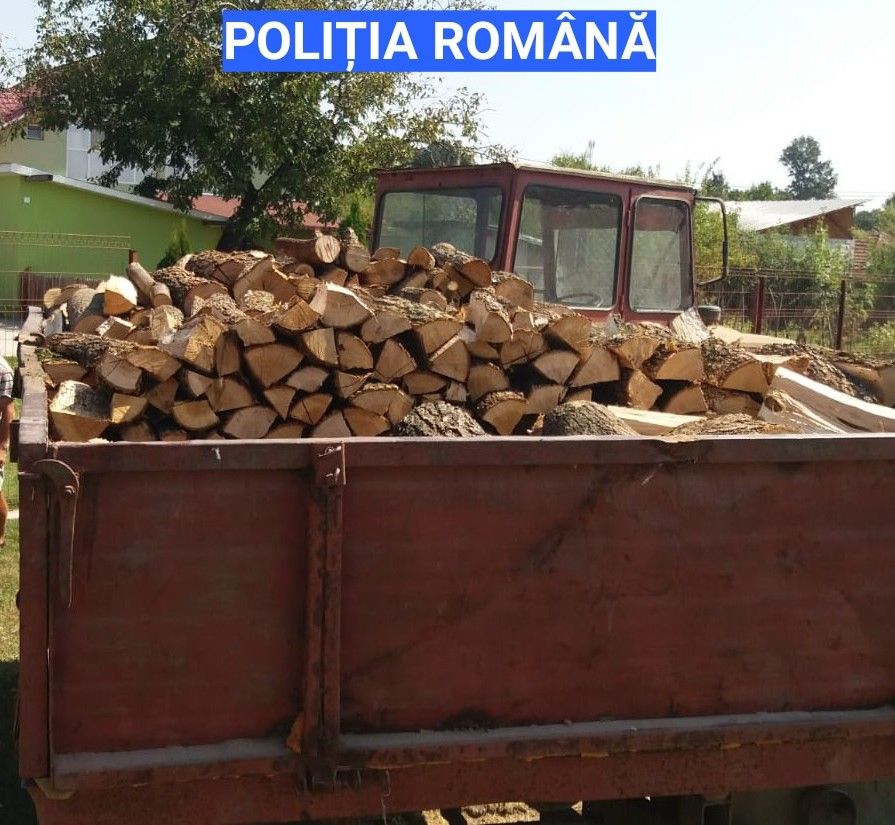 WhatsApp Image 2019-08-31 at 16.53.18o