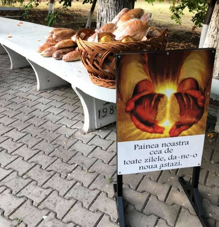 72543912_10221508030550599_5017245709875806208_n