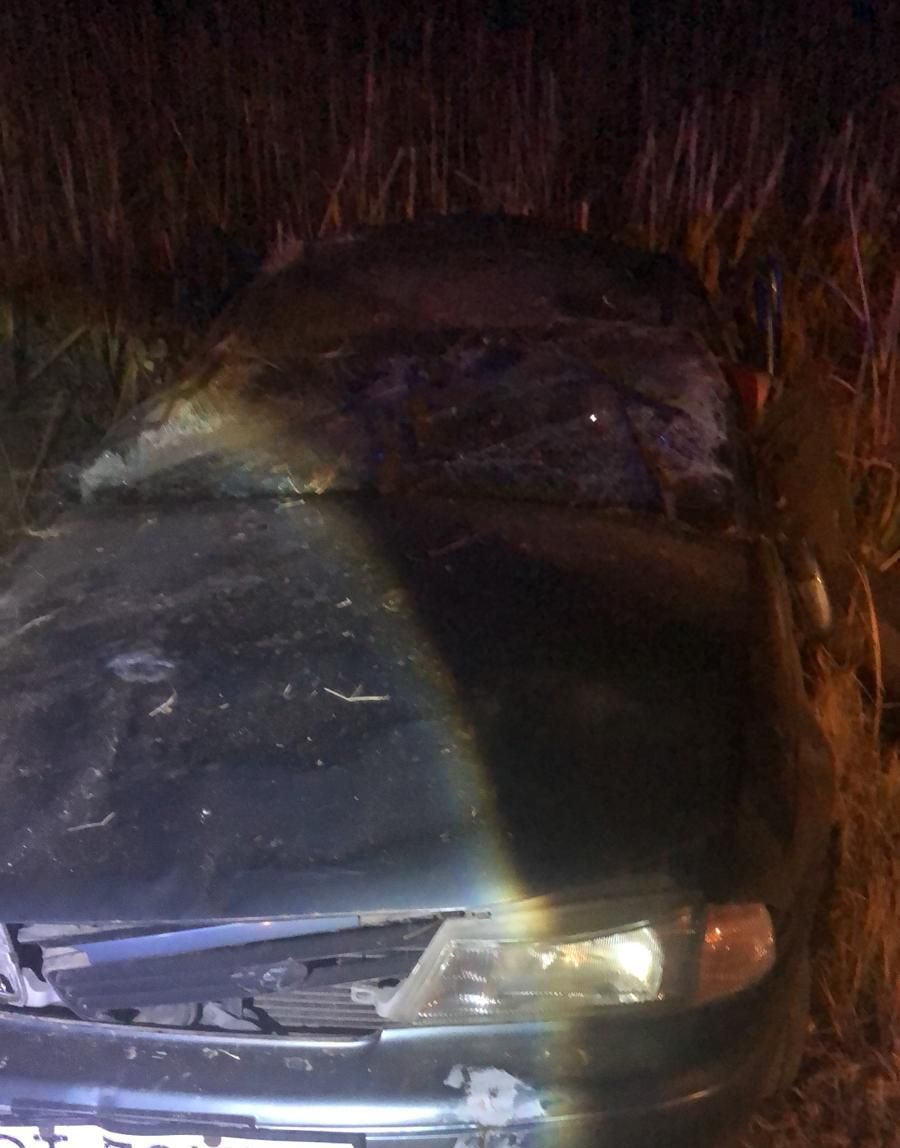 WhatsApp Image 2019-10-13 at 11.50.43 (1)