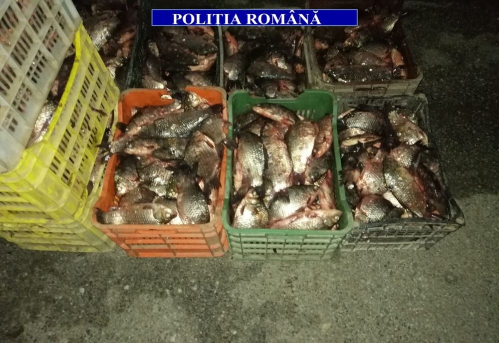 O femeie din Caracal voia să vândă 270 kg de peşte. S-a ales cu dosar penal