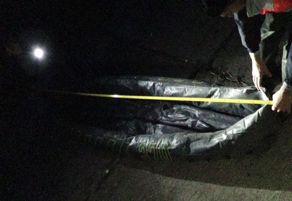 Braconau pe râul Olt cu o barcă şi o setcă de 95 metri