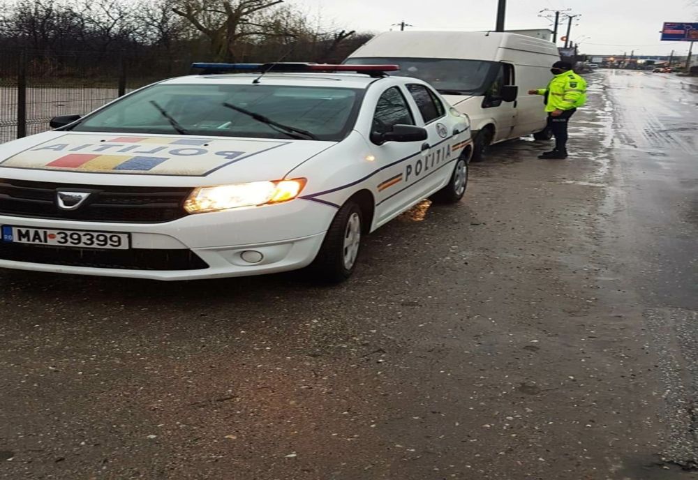 Corabia: Zeci de pomi de Crăciun, vânduţi ilegal