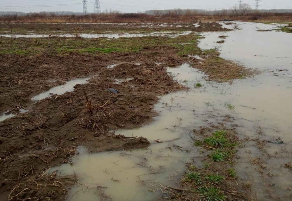 Inundaţii în trei localităţi din Olt