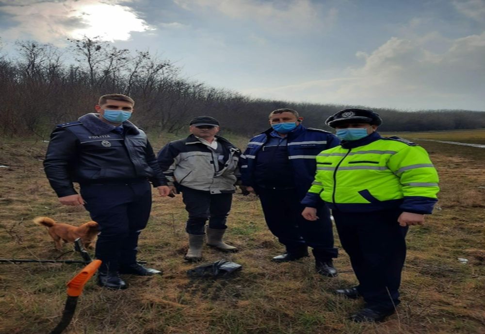 Olt: 68 monede antice, descoperite de un fost poliţist (FOTO)