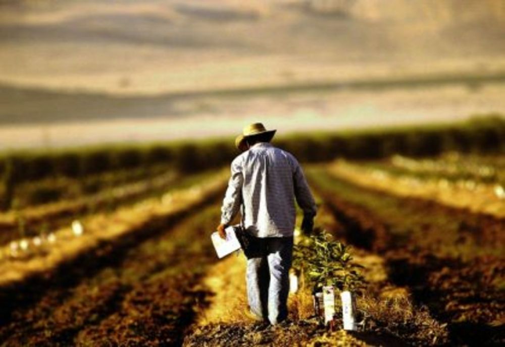 Tinerii români din diaspora pot obține finanțări de până la 50 000 de euro