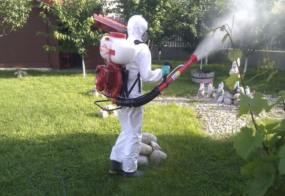 Începe dezinsecţia, la Slatina