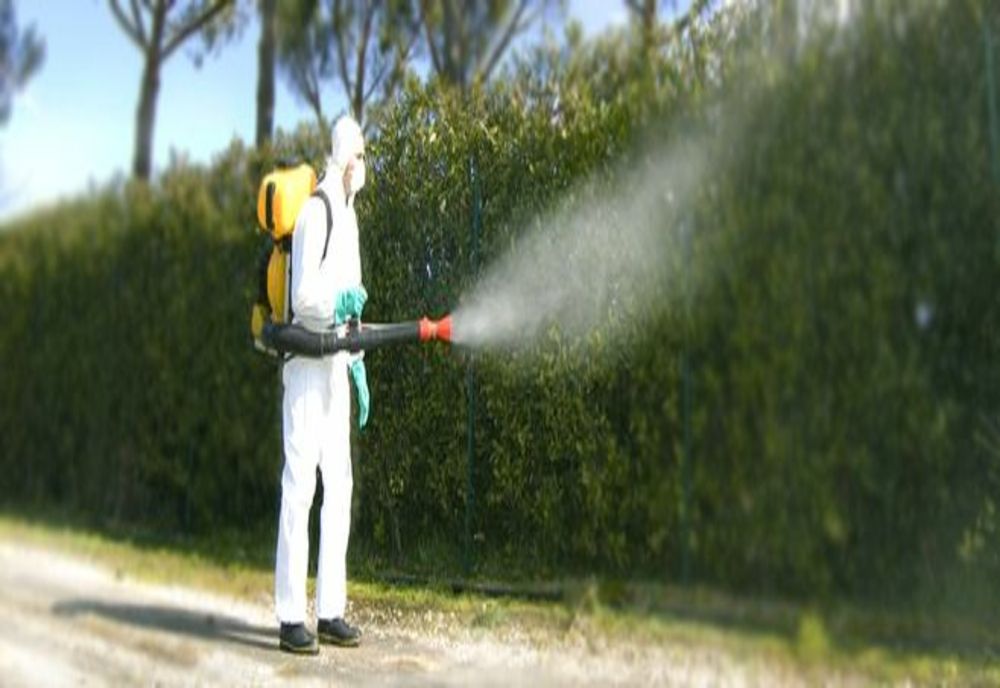 DEZINSECŢIE la Slatina. Când începe şi cum se va acţiona