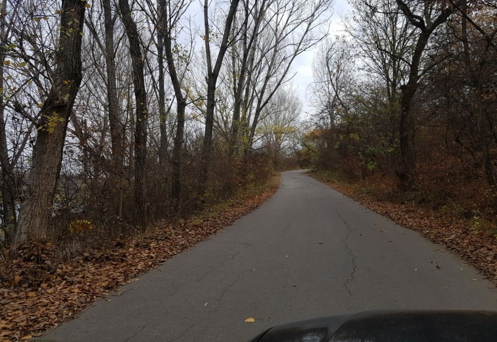 Pădurea Strehareţi din Slatina, reabilitată. Se amenajează piste pentru biciclete şi pentru alergat