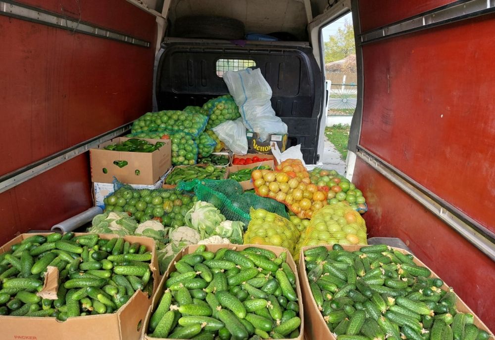Legume livrate la domiciliu, cu ajutorul unei aplicaţii. Proiect pregătit de legumicultorii din Olt