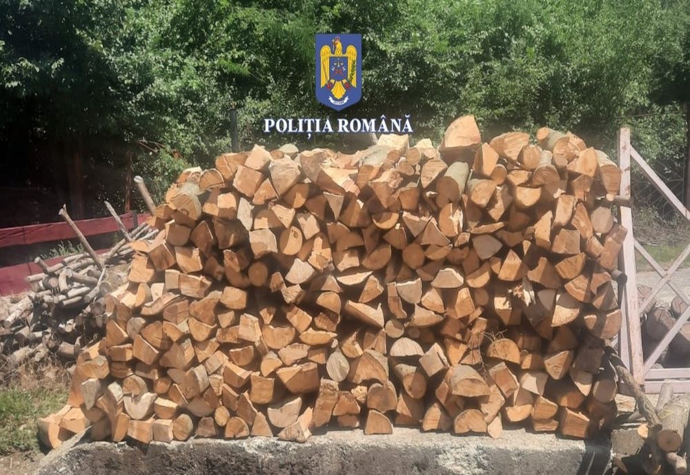 Olt: Amendă pentru un bărbat prins cu transport ilegal de lemne