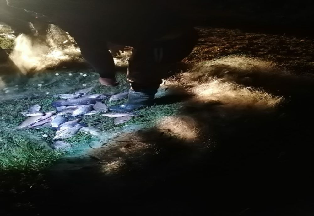 Confiscări și dosar penal, în judeţul Olt: Jandarmii acționează împotriva pescuitului ilegal