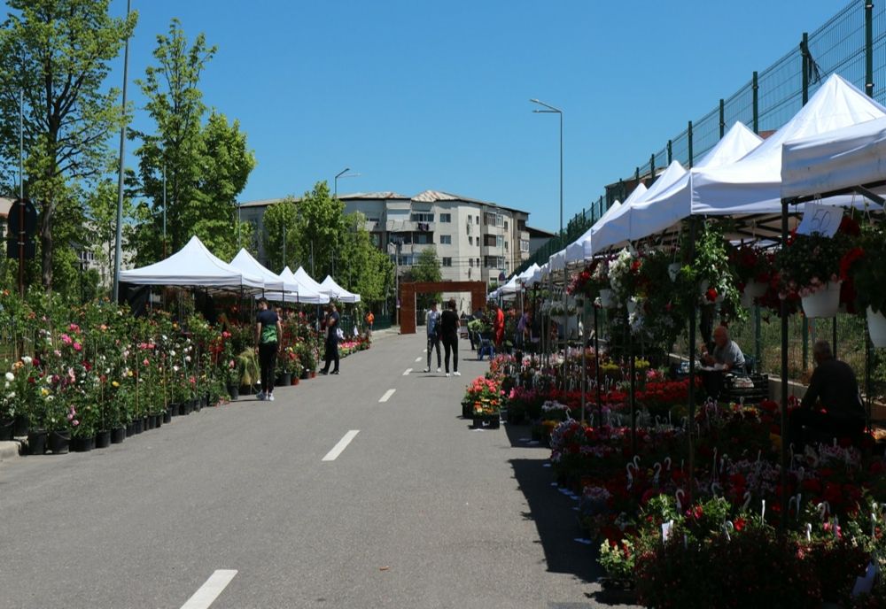 Eveniment dedicat florilor, în weekend, la Slatina
