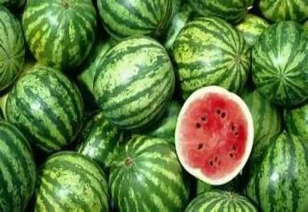 ROMÂNIA ŞI UNGARIA SE LUPTĂ PENTRU SUPREMAȚIA PEPENILOR ÎN EUROPA