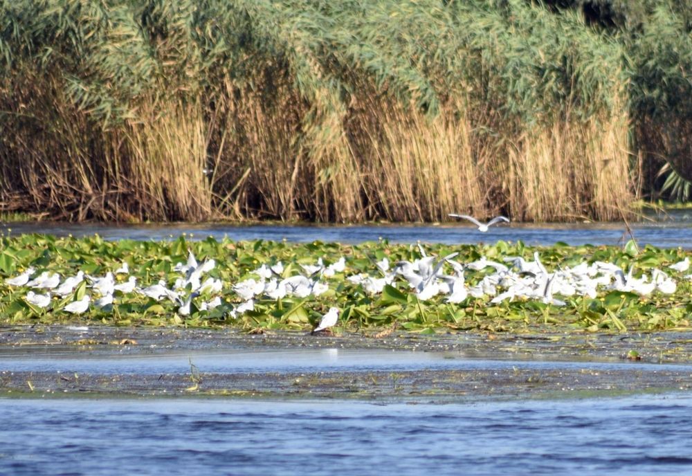 DELTA DUNĂRII CÂȘTIGĂ MARELE PREMIU AL GALEI ”DESTINAȚIA ANULUI 2025”